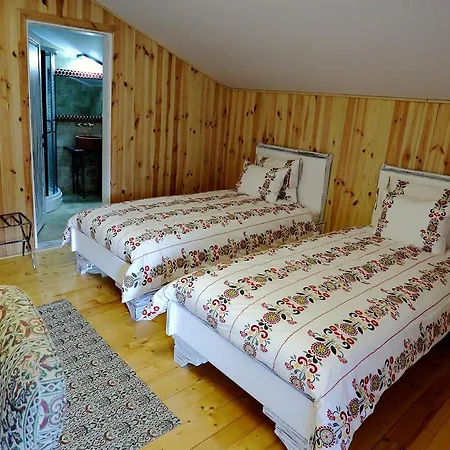 Pensiunea Varvara De Bucovina Affittacamere *
